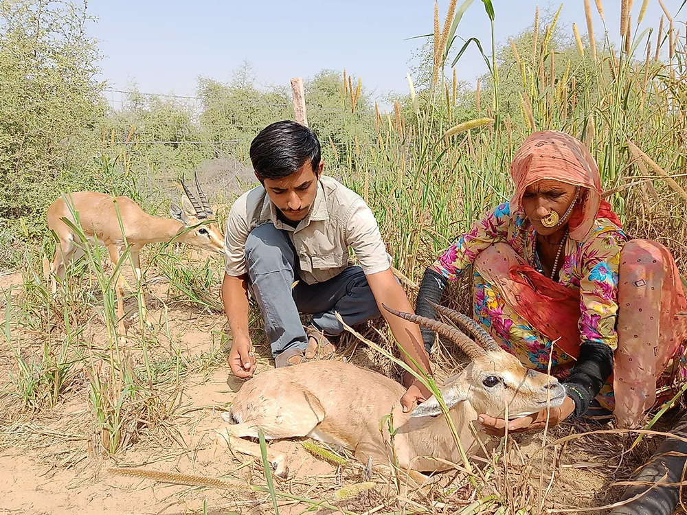 Animal hunting in India