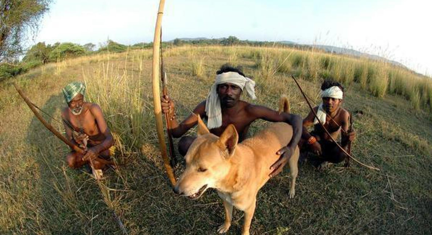 Animal hunting in India