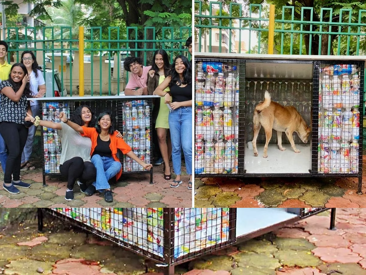 Dog Shelter From Waste 