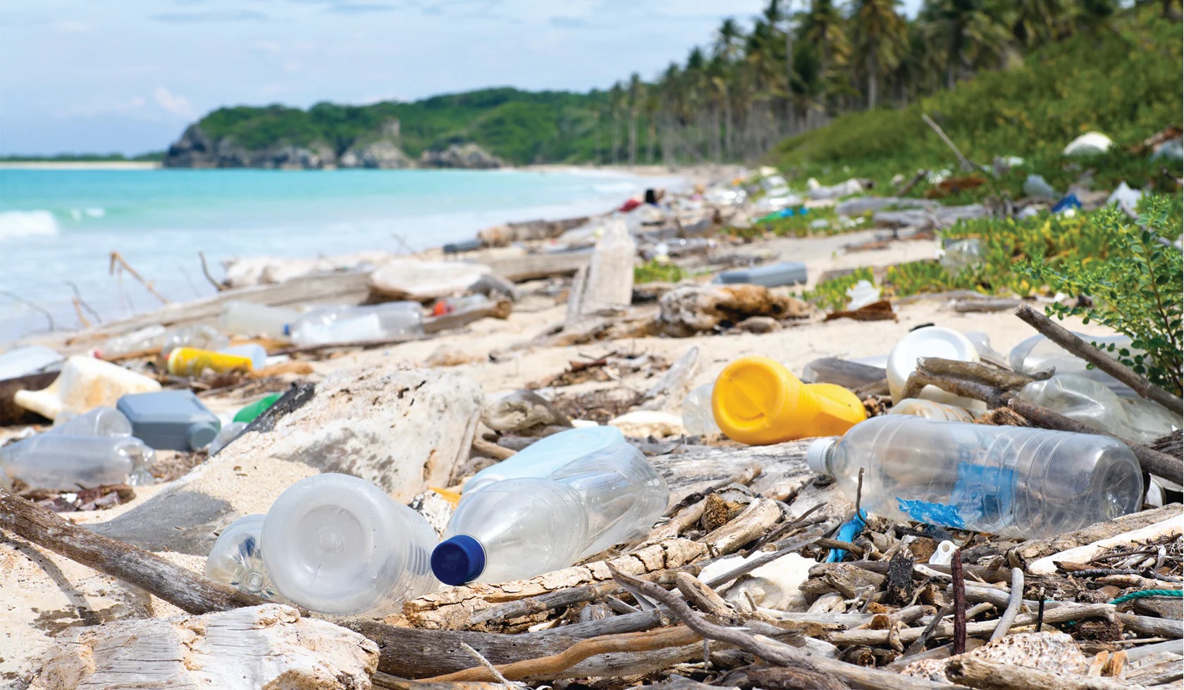 Plastic Bottles in Water Bodies