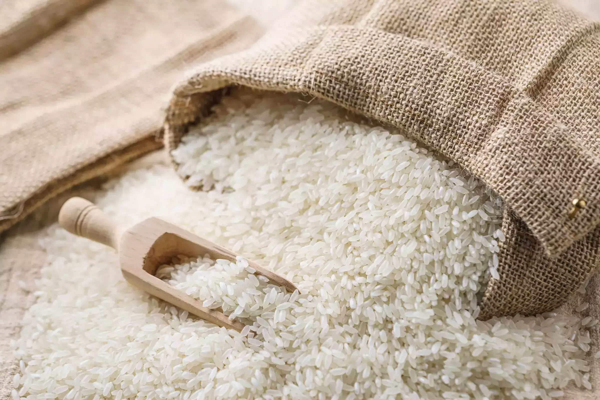 Ban on Rice Export 