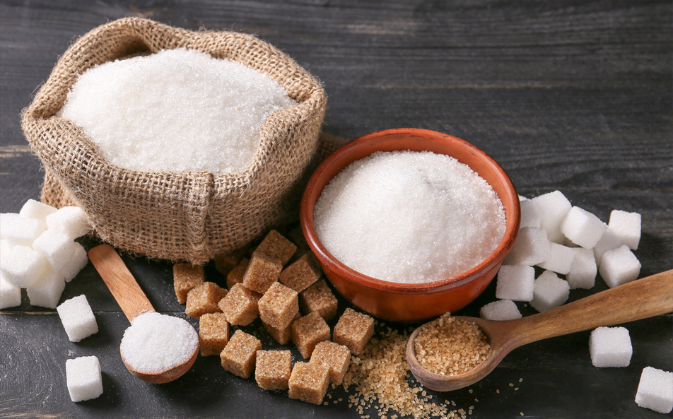  sugar industry in India 2024 