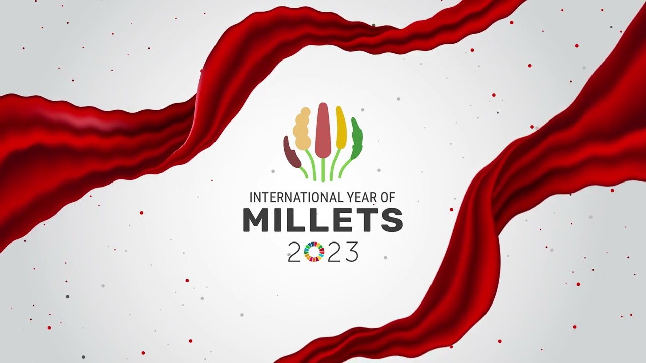 2023 Is The Year Of Millets