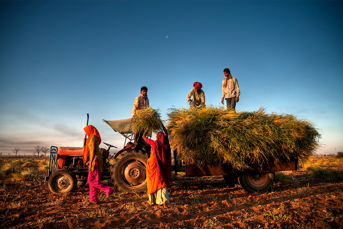 agricultural reforms needed for India