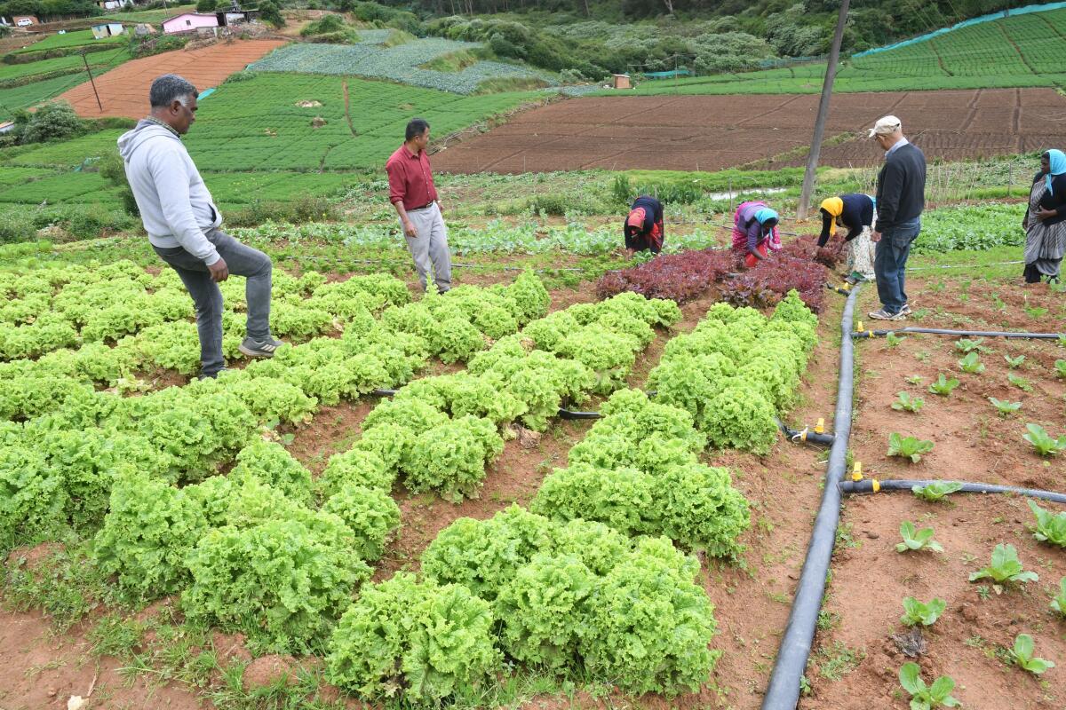 innovations in agriculture sector in India