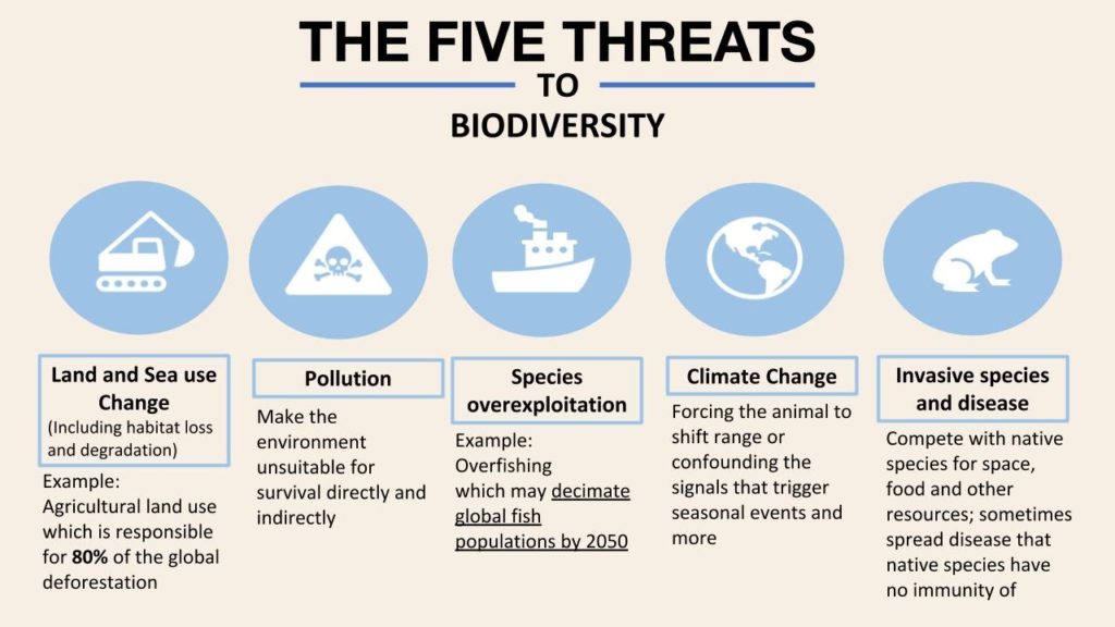 threats to biodiversity in India