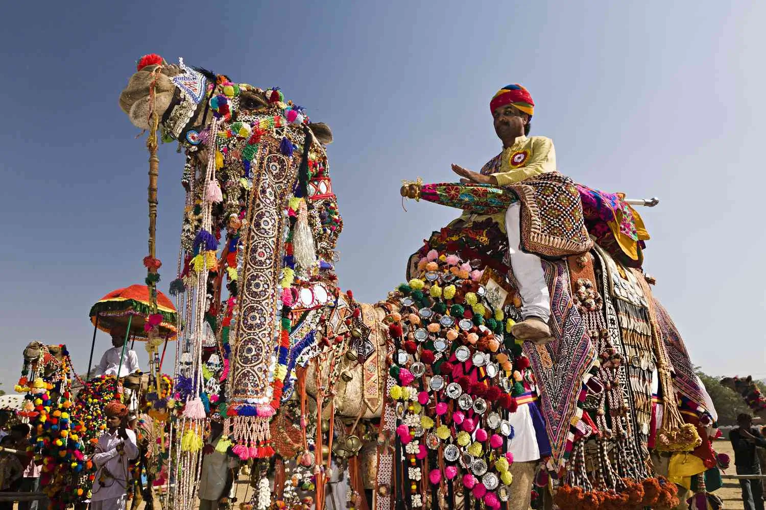 Unique Indian Cultures - Pushkar Camel Fair