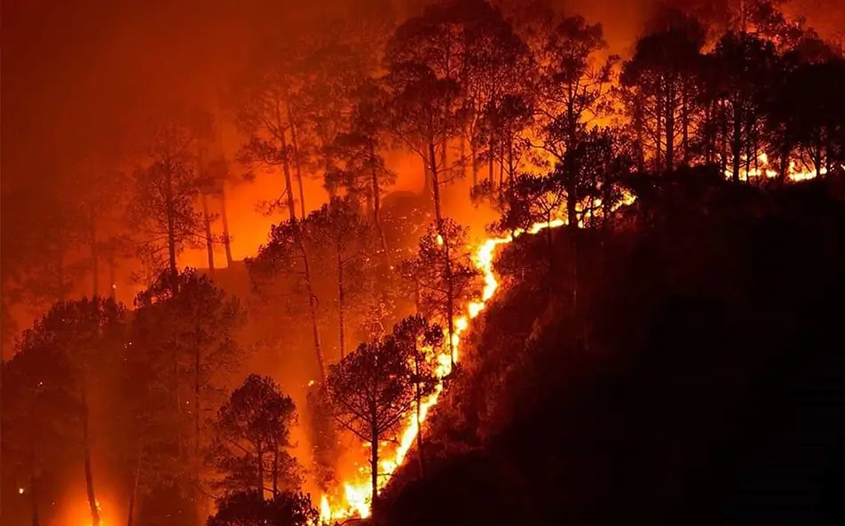 Forest Fires – wildfire – climate change