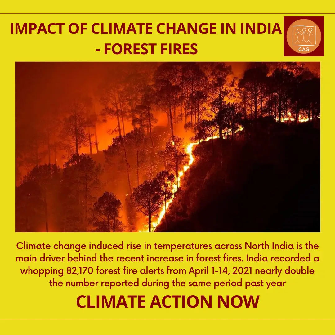 climate change forest fires