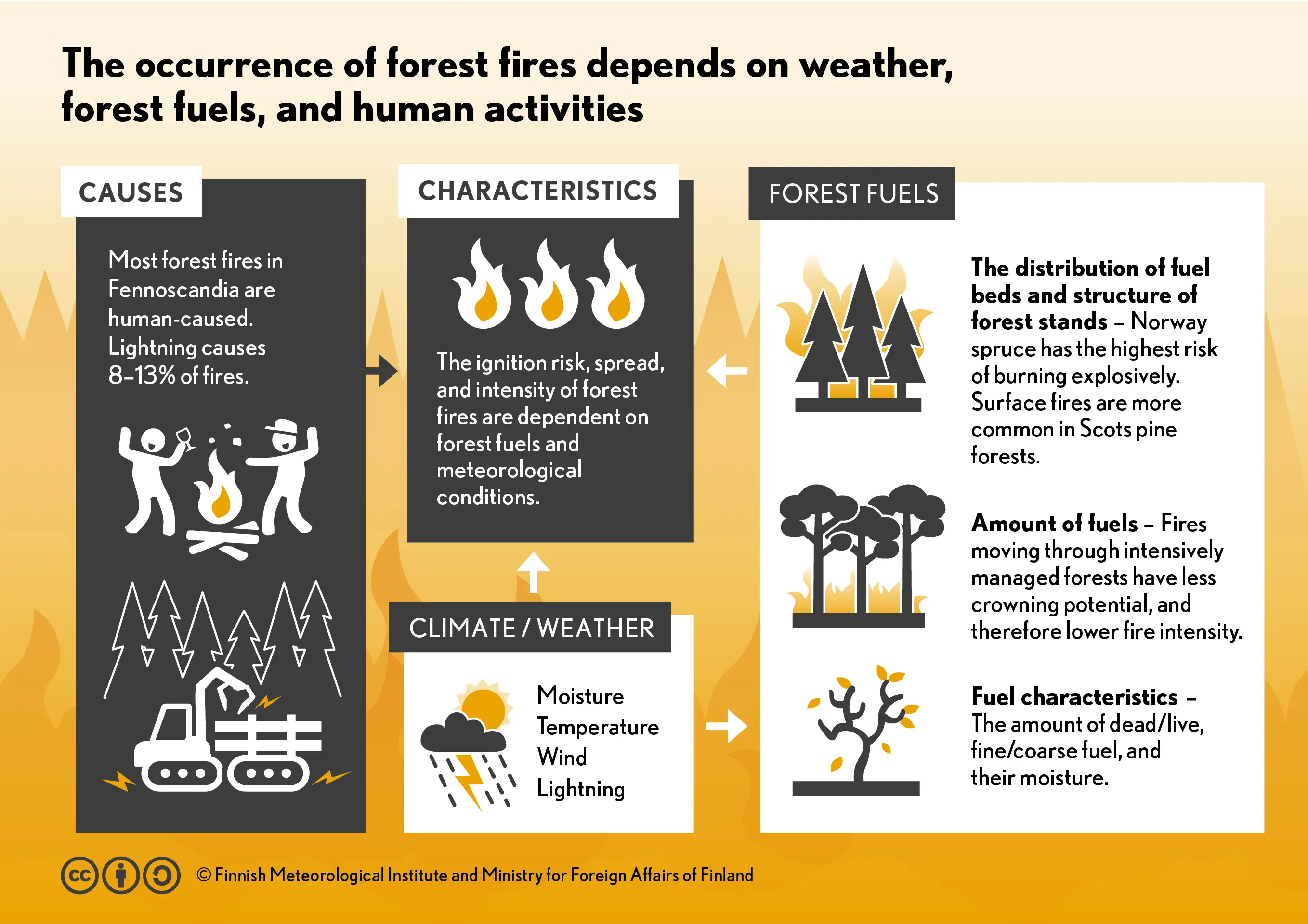 climate change forest fires