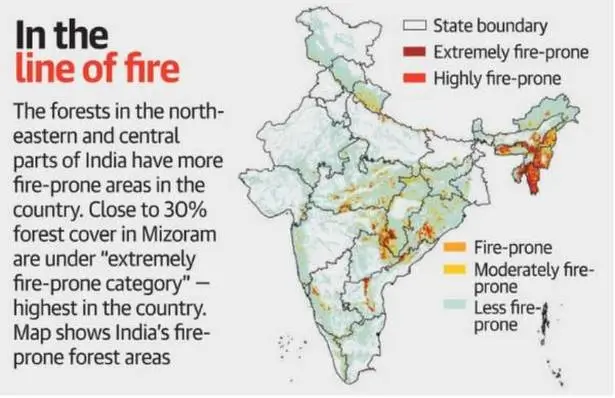 wildfires – forest fires