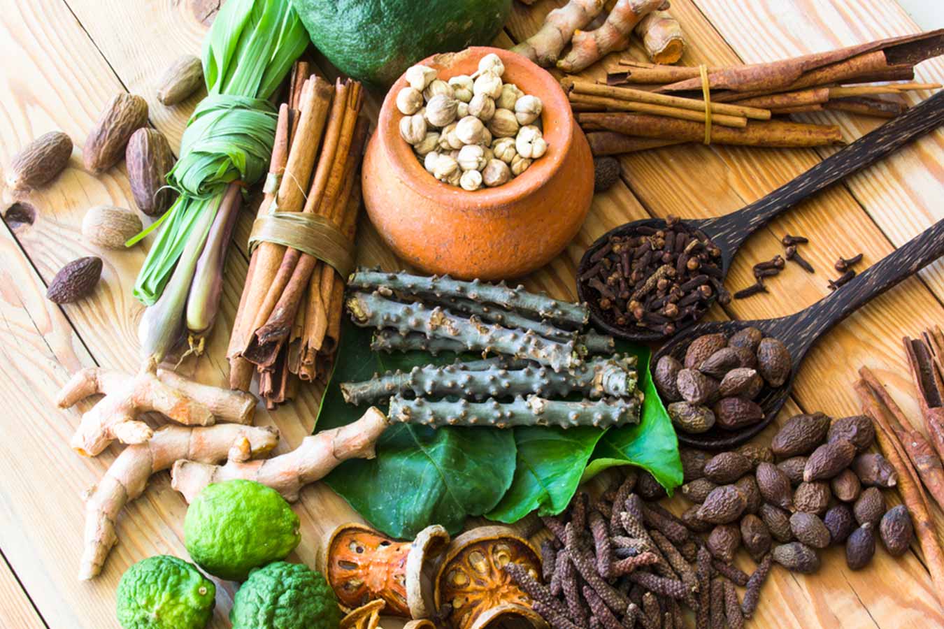 medicinal plant farming