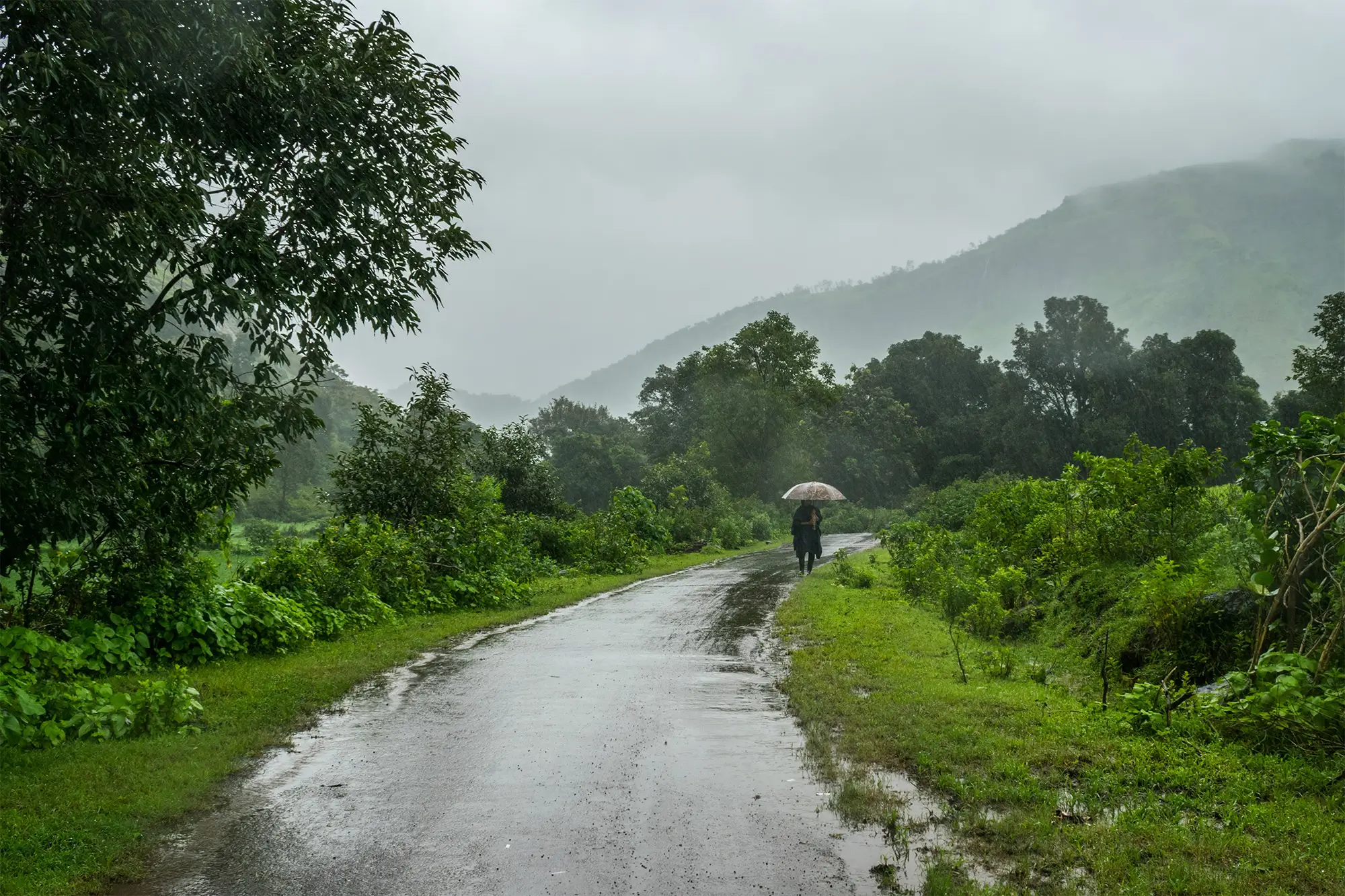 Monsoon Season in India