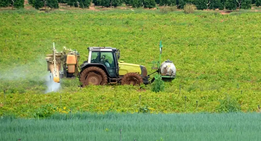 rabi crop season