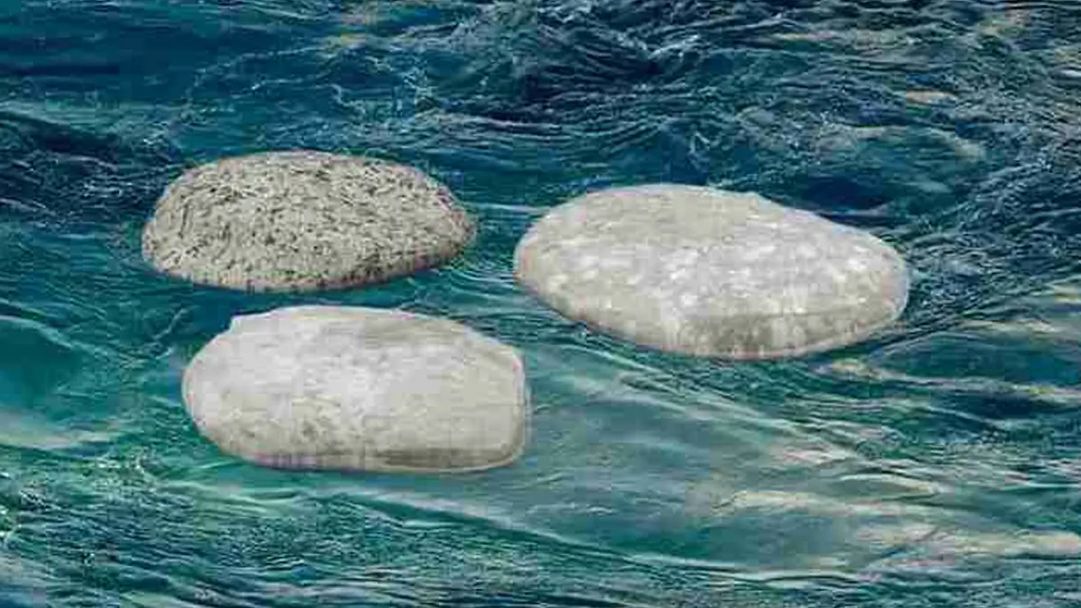 Ram Setu bridge