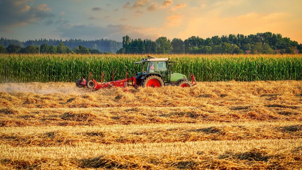 Stubble burning in India