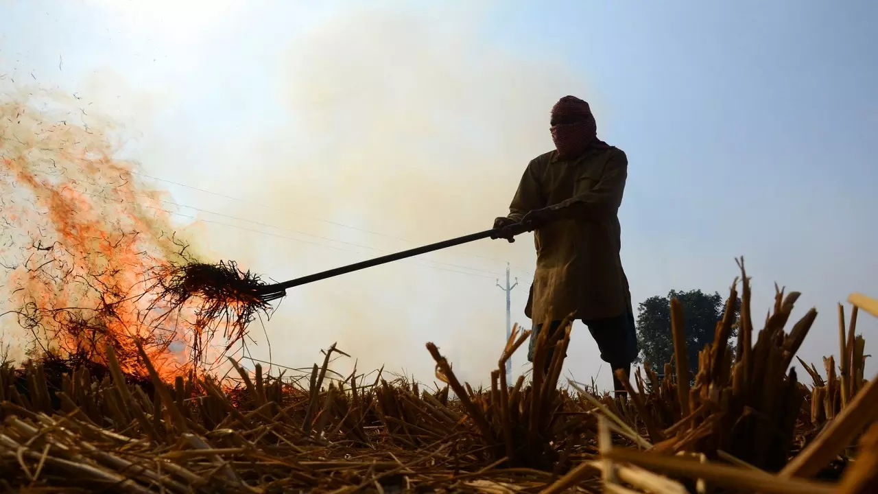 Stubble burning in India