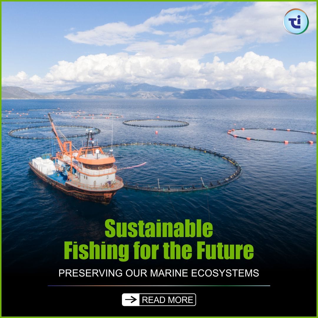 Sustainable Fishing Practices for the Future: Preserving Our Marine Ecosystems